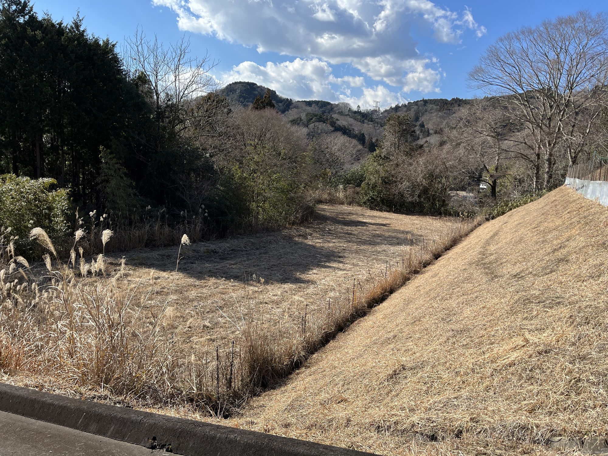 富士山麓の農地