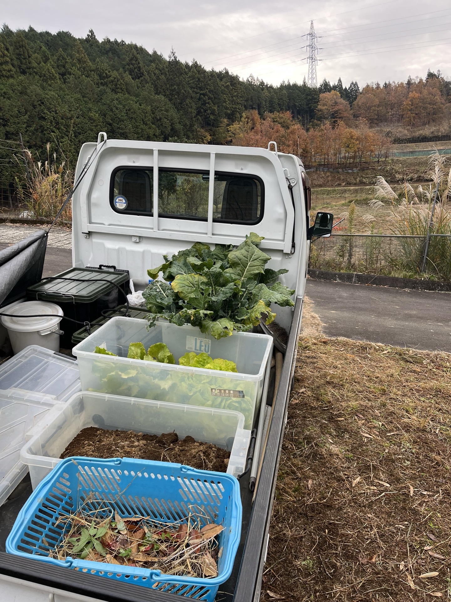収穫した野菜を積んだ軽トラック