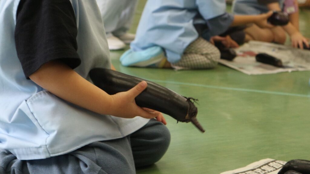 自然農のナス